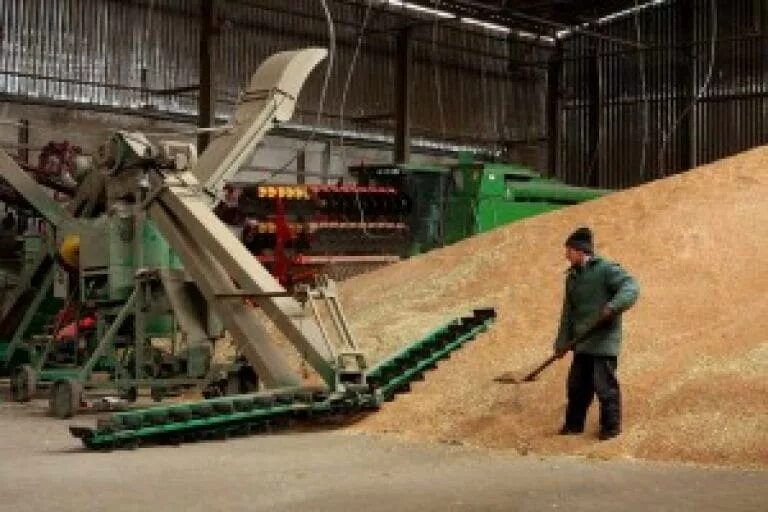 Послеуборочная обработка зерна. Хранилище зерна. Послеуборочная обработка зерна. Послеуборочная обработка. Послеуборочная обработка зерна.