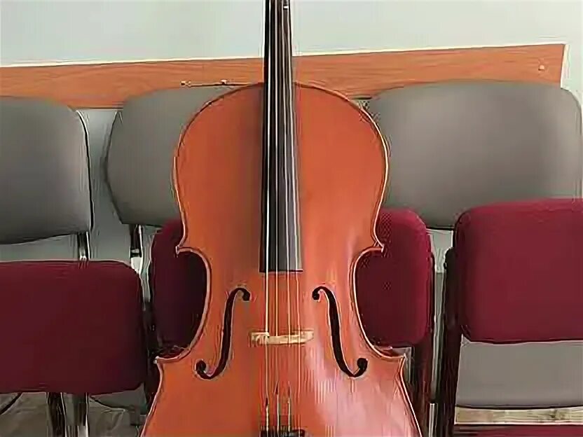 Goronok виолончель родион дубов 4/4 750 мм. Виолончель горонок. Горонок магазин струнные инструменты москва. Виолончель горонок. Виолончель 4/4 горонок 760 мм.