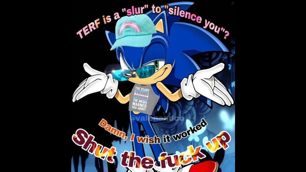 Реакция Соника на т/и. Sonic shut up. Shut me up Sonic. Реакции соник