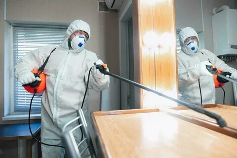Дезинфекция и дезинсекция помещений