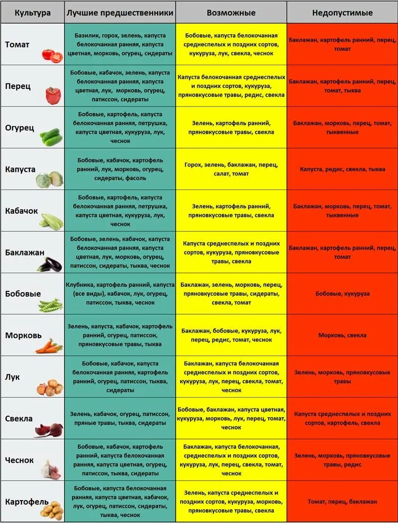 Какие овощи можно сажать после. Таблица севооборота овощных культур на огороде. Севооборот на огороде что после чего можно сажать таблица. Чередование культур в огороде таблица. Таблица севооборота овощных культур на огороде предшественники.