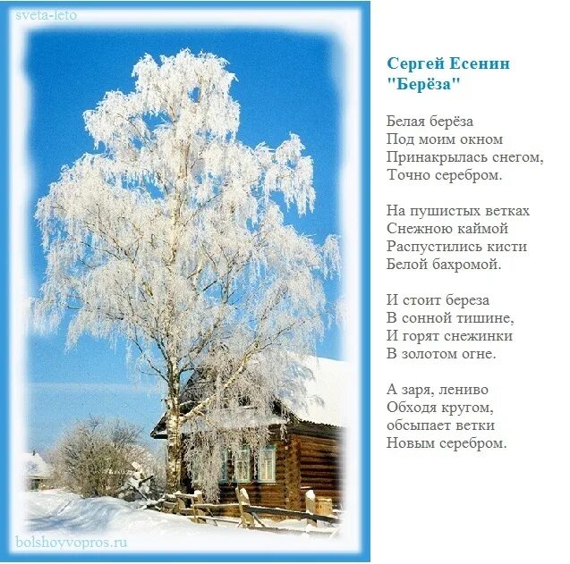М под моим. Есенин белая береза. есенин белая берёза под моим окном. есенин береза. белая береза есенина.