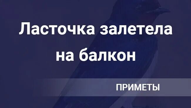 Ласточка залетела. Если залетела в дом Ласточка. К чему залетает Ласточка. Ласточка залетела на балкон. Ласточка залетела в дом примета