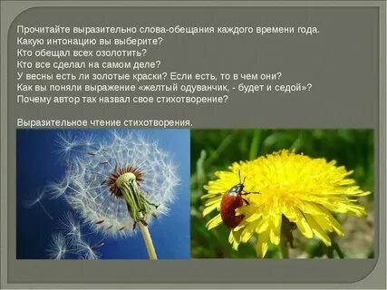 Золотое слово 3 класс презентация
