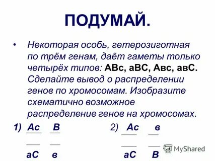 Тип гамет гетерозиготной особи