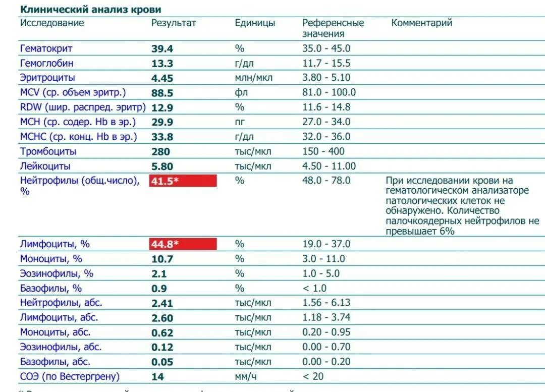 Какая норма моноцитов. Нейтрофилы в анализе крови норма. Анализ крови нейтрофилы лимфоциты норма. Лимфоциты в анализе крови норма у детей 5 лет. Общий анализ крови лимфоциты норма.