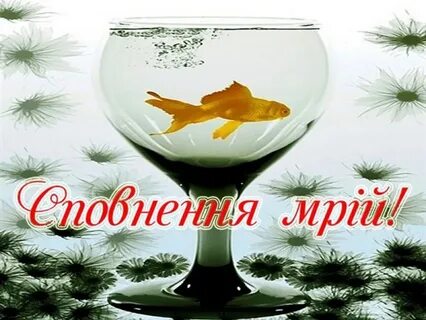 З днем народження мужчині українською мовою привітання