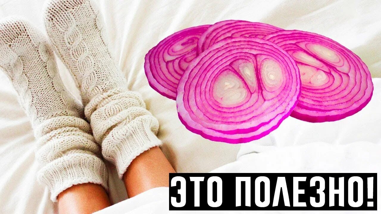 Что положить в лук. Что положить в лук