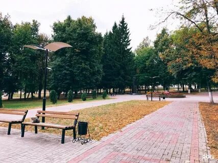 Парки курска список