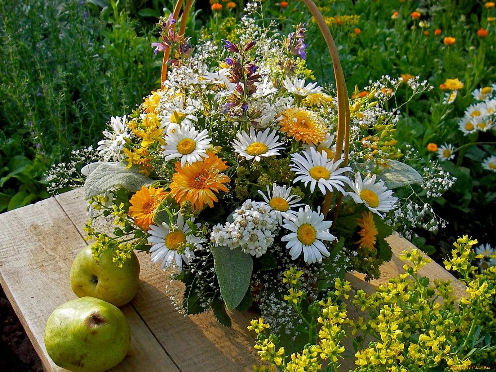 День садовых цветов. Красивый летний букет. Композиции из садовых цветов на даче. Летние цветы. Букет полевых цветов.