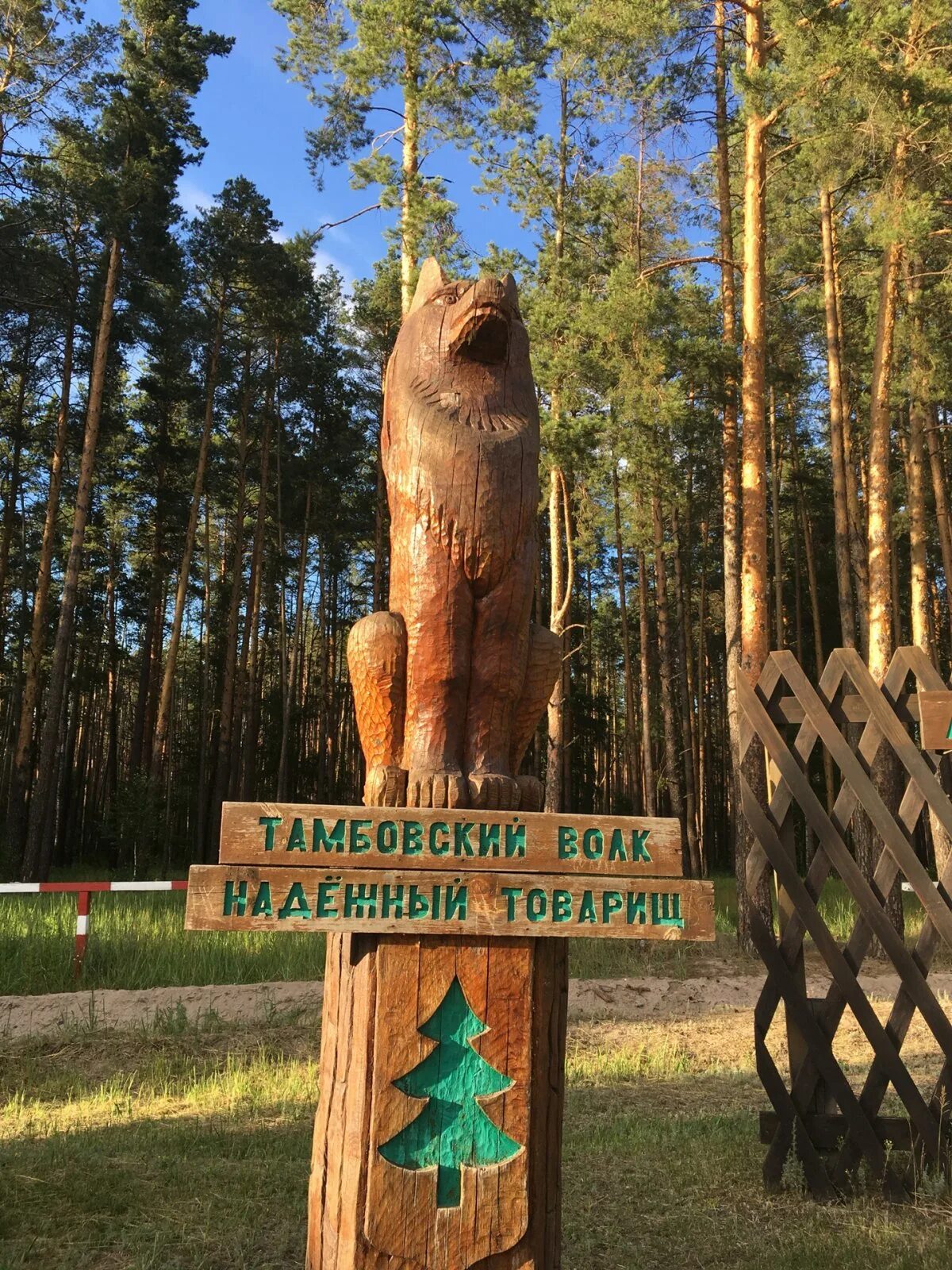 Тамбовский волк Тамбов. Статуя Тамбовский волк памятник в Тамбове. Памятник волку в Тамбове. Тамбовский волк на въезде в Тамбов.