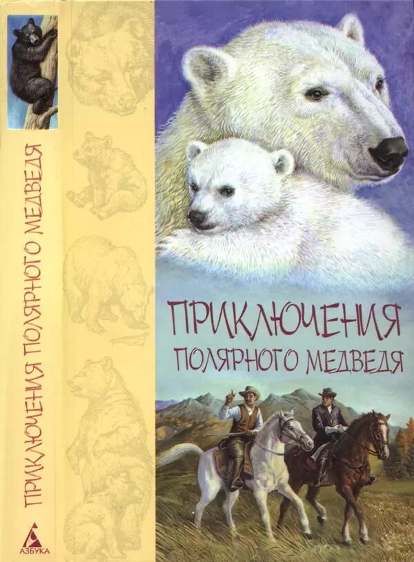 Белый медведь. Книга чаплина фомка белый медвежонок. Морское путешествие белого медвежонка. Книга про белого медведя. Книга про белого медведя.