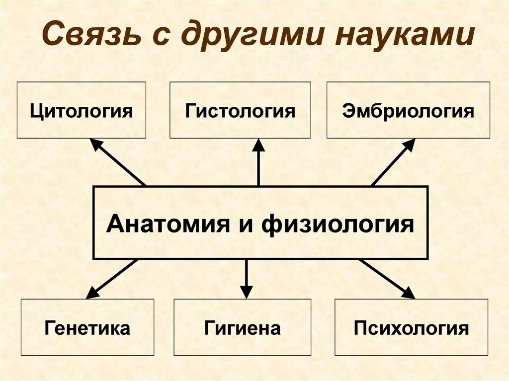 Предмет изучения физиологии. Взаимосвязь возрастной физиологии с другими науками. связь анатомии и физиологии с другими науками. связь возрастной анатомии с другими науками. связь афазиологии с другими науками.
