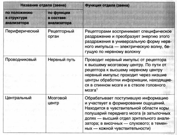 Таблица строение анализаторов 8 класс. Строение анализаторов таблица. Строение анализаторов ЕГЭ. Анализаторы ЕГЭ биология. Строение и функции анализаторов таблица.