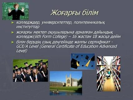 Высшее образование университета колледж какое образование