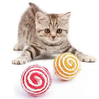 Кошачья оптом