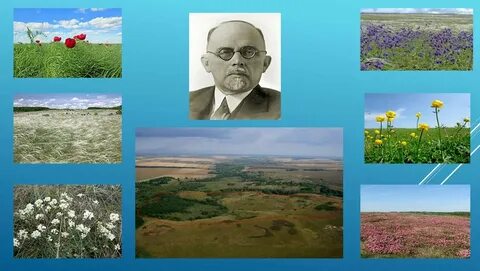 Музыканты курского края