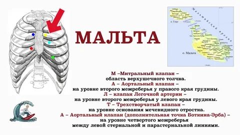 Шумы у левого края грудины