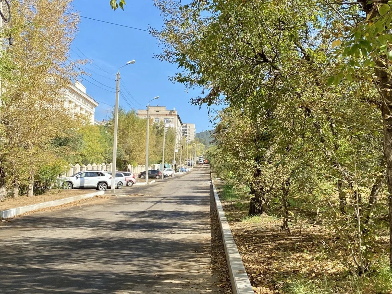 Ремонт улицы горького. Омск улицы. Улица Горького Чита. Чита улицы. Деревья Чита.