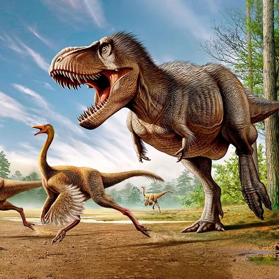 Мод на динозавров. Игра "динозавр". Мир юрского периода господство. Спинозавр планета динозавров. Тираннозавр эра динозавров.