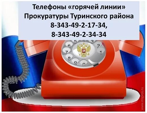 Горячая линия прокуратуры россии. Горячая линия прокуратуры. Горячая линия прокуратуры картинка. Прокуратура Москвы горячая линия. Горячая линия безопасность детства.