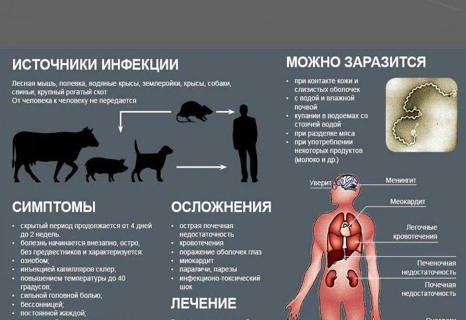 Схема передачи возбудителей болезни. Пути передачи вирусных заболеваний. Развитие патологического процесса. Признаки заражения человека инфекционной болезнью. Профилактика холеры памятка.