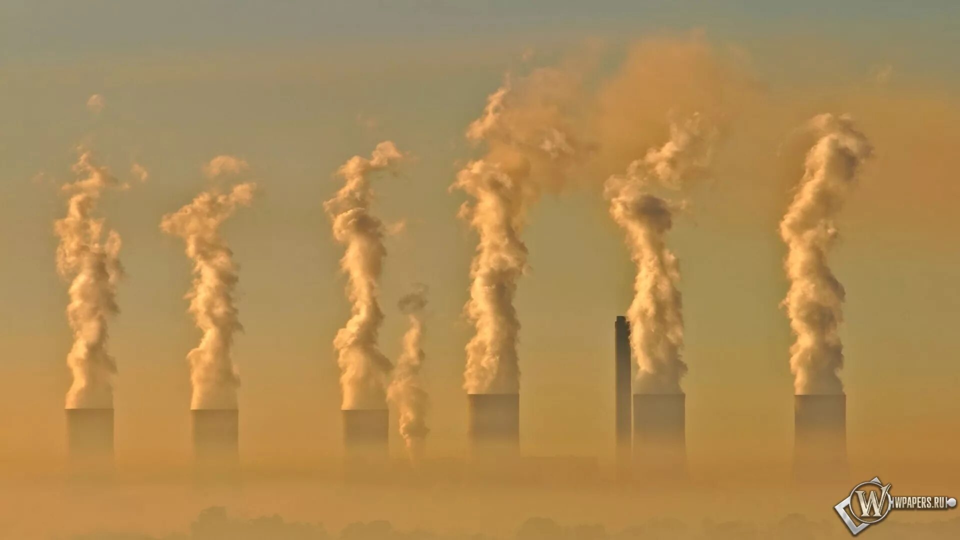 Pollution is us all