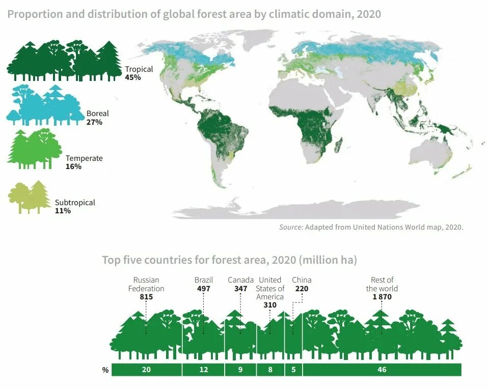 Распределение лесных ресурсов в мире. Статистика вырубки лесов в мире по годам. Статистика по вырубке лесов в мире. Russia is a of forests