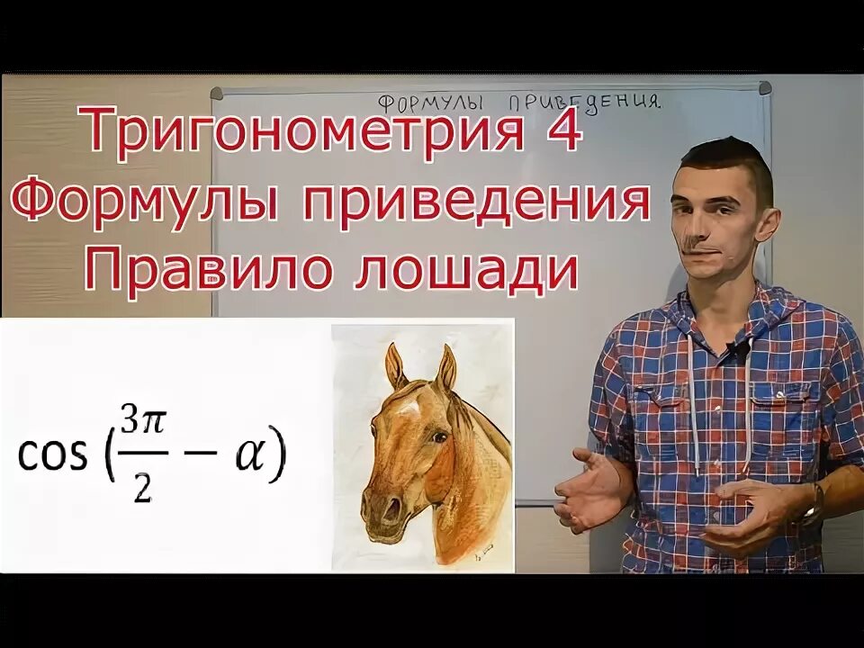Правила безопасности при работе с лошадьми. Правила лошади. Метод лошади тригонометрия. Правила лошади. Правила скачек.