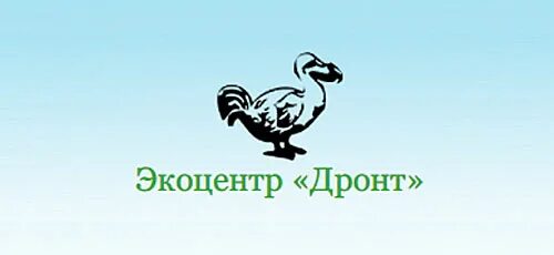 Экоцентр новокубанск. Экоцентр Нижний Новгород. Дронт организация Нижний. Экоцентр нарушение законодательства.