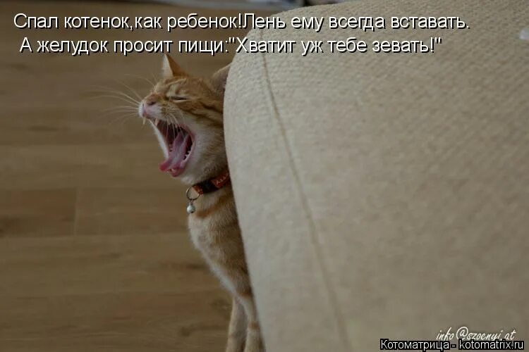 Человек зевнул. Зевающий человек. Зеваю и не хватает. Сонливость. Фото зевающих людей.