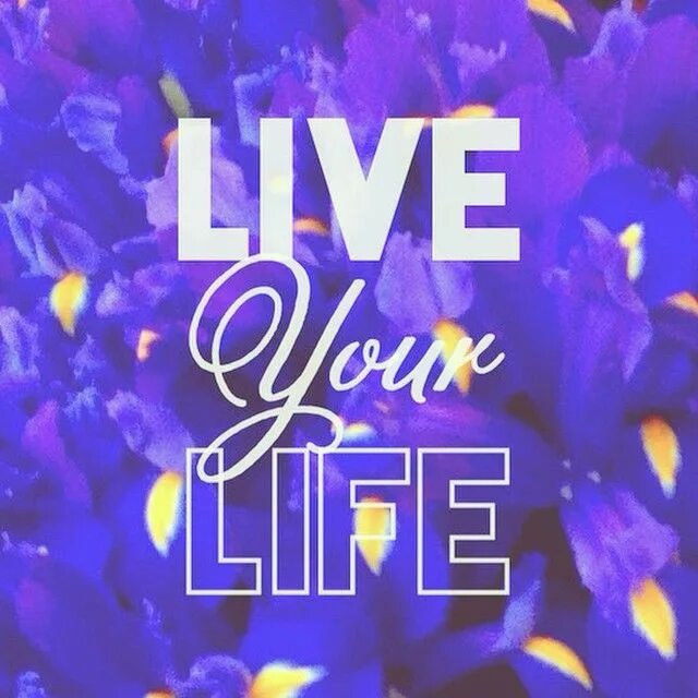 Live your Life. Live картинка. Live is Life картинки. Live your best Life.