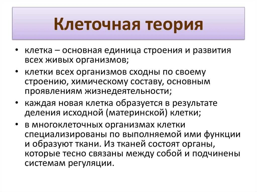 Клеточная теория строения организмов. Клеточная теория строения 9 класс биология. Клеточная теория Шванна. Современная клеточная теория кратко. Клеточная теория строения организмов конспект кратко. Клеточная теория кратко конспект.