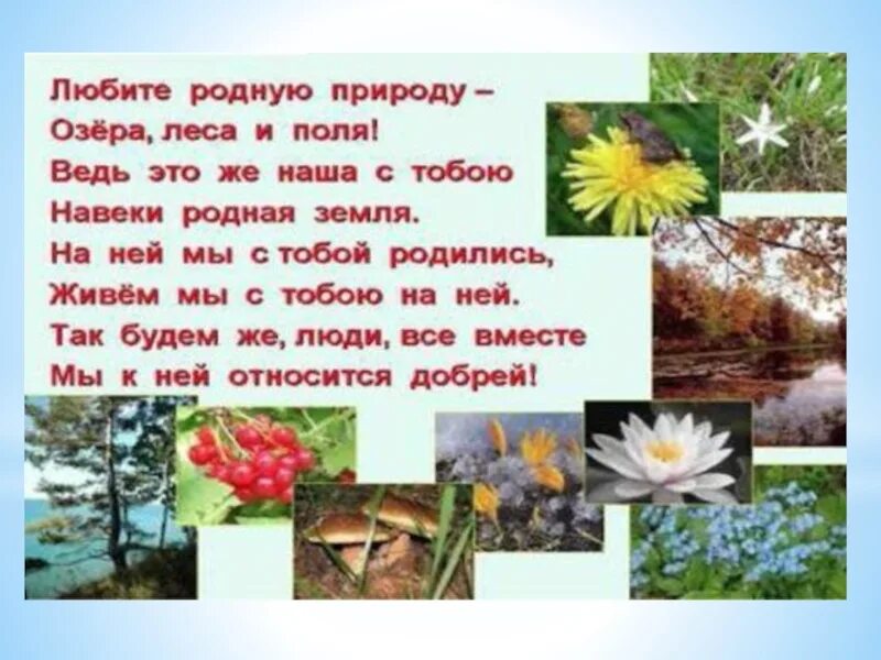 Стих разнообразие