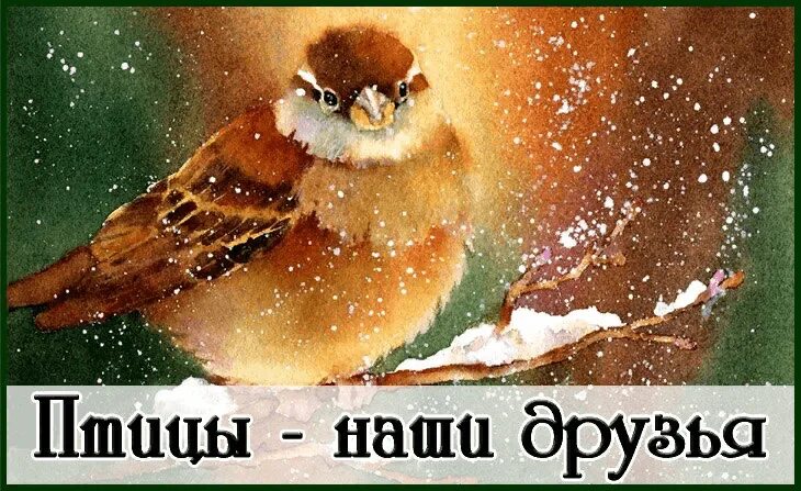 Птицы наши друзья. Птицы наши друзья презентация. Птицы наши друзья на казахском. Птицы наши друзья. Конкурс птицы наши друзья.