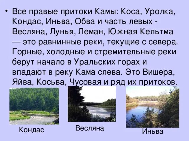 Левый приток реки кама