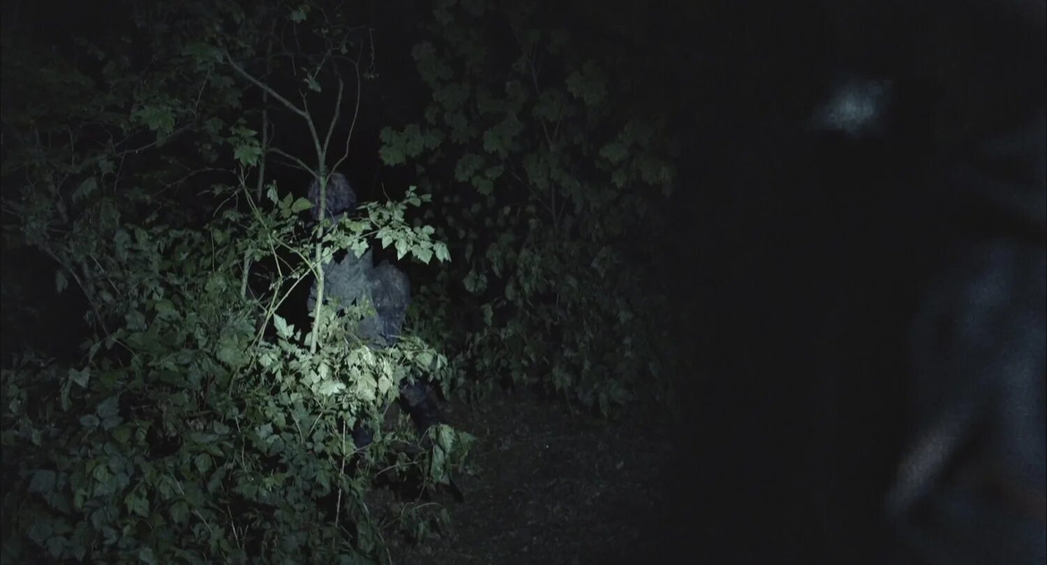 ведьма из блэр 2016 ведьма. ведьма из блэр новая глава. ). ведьма из блэр: новая глава (2016). ведьма из блэр 1.