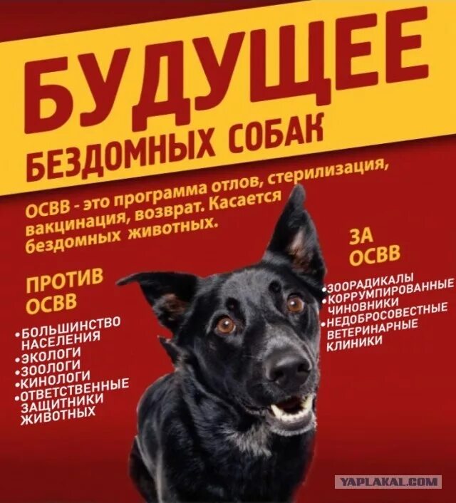 Зоотеррору нет