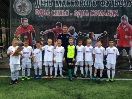 Школа сокол