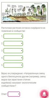 Верно ли утверждение растения
