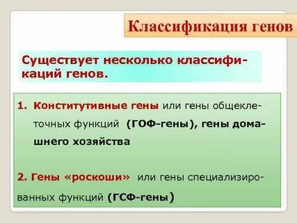 Генная систематика