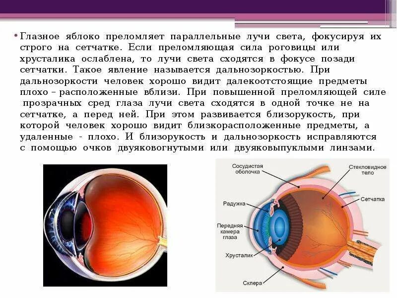 Изображение позади сетчатки. При близорукости преломляющая сила хрусталика. Преломляющие среды глазного яблока. Световые лучи в глазном яблоке преломляют. Хрусталик преломляет световые лучи.