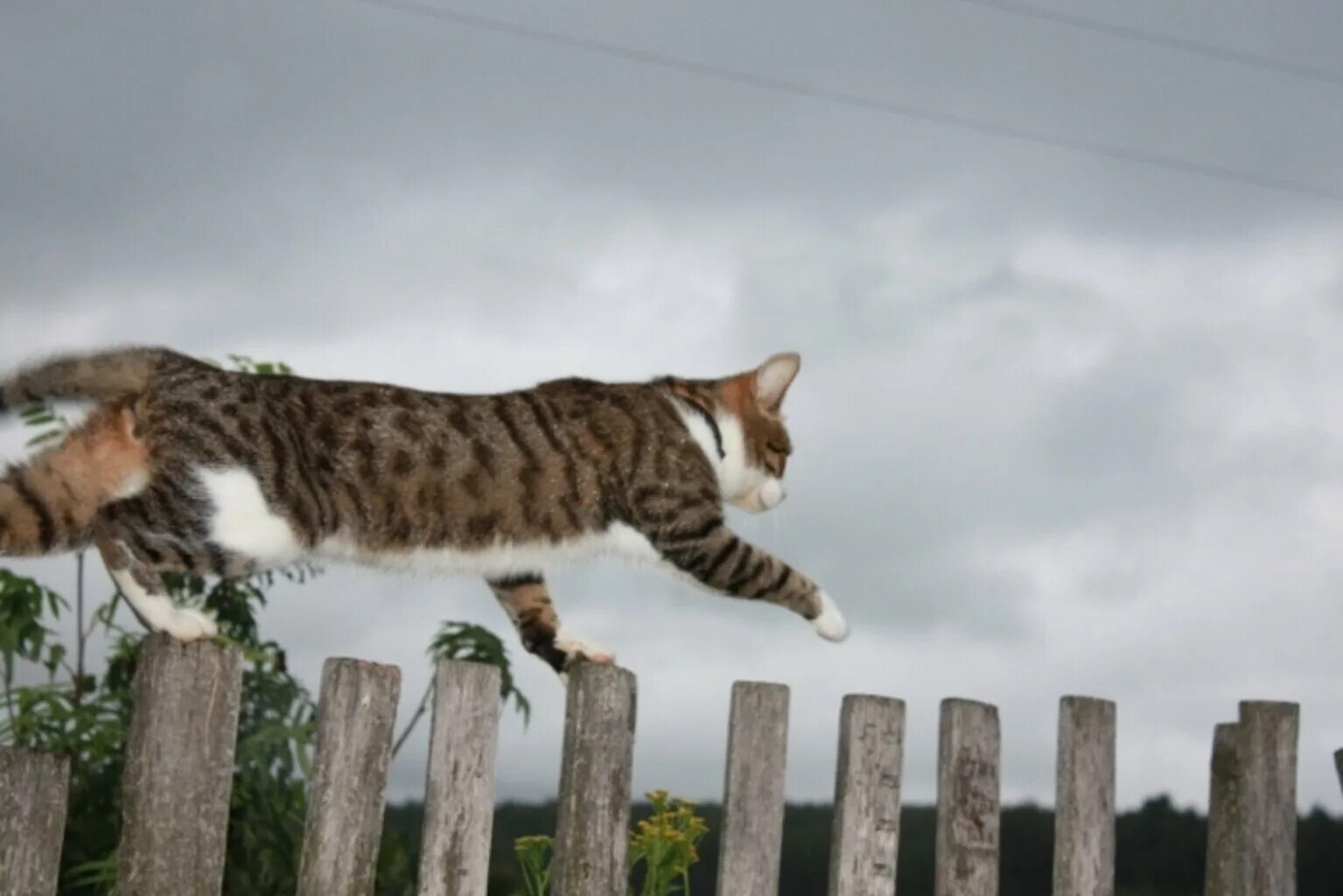 Ать два. Марш деревянных солдатиков стихотворение. Ать два. Ать два левой правой. Шаг влево шаг вправо расстрел.