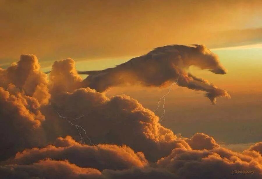 Туча зверь. Облака похожие на животных. Облако в виде собаки. Облака. Фигуры из облаков.