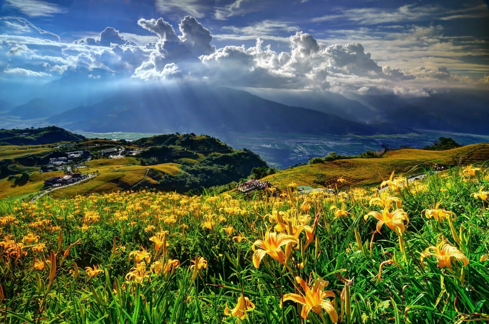 Природа