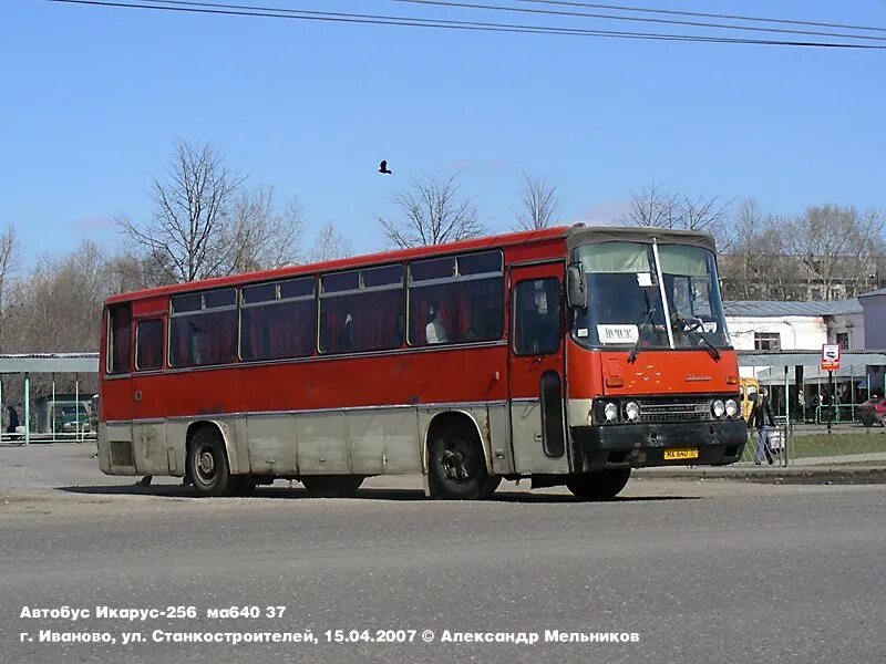 256.54 Гренадин Икарус. Икарус Иваново. ПАТП 1 Иваново. Автобус Икарус Иваново.