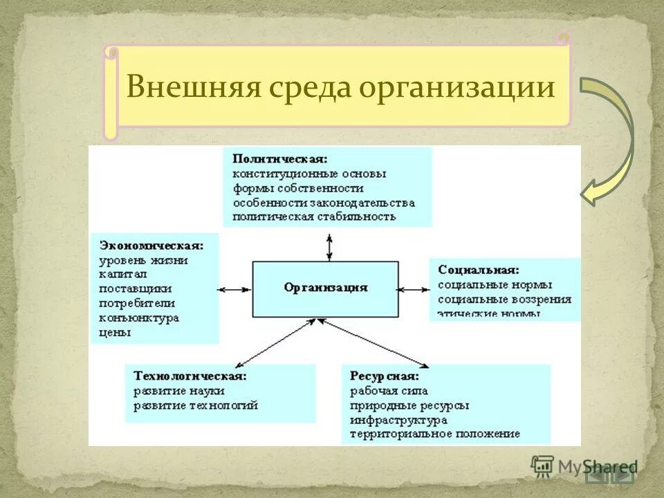 Представляют собой системы взаимосвязанных элементов