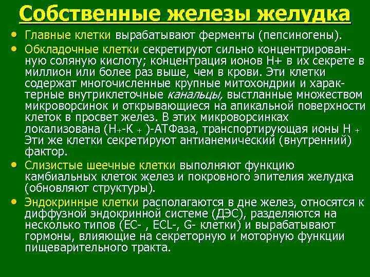 Пепсин амилаза соляная кислота слизь. Главные клетки желез желудка вырабатывают. Клетки желудка вырабатывающие ферменты. Главные железы желудка секретируют. Обкладочные клетки желез желудка секретируют.