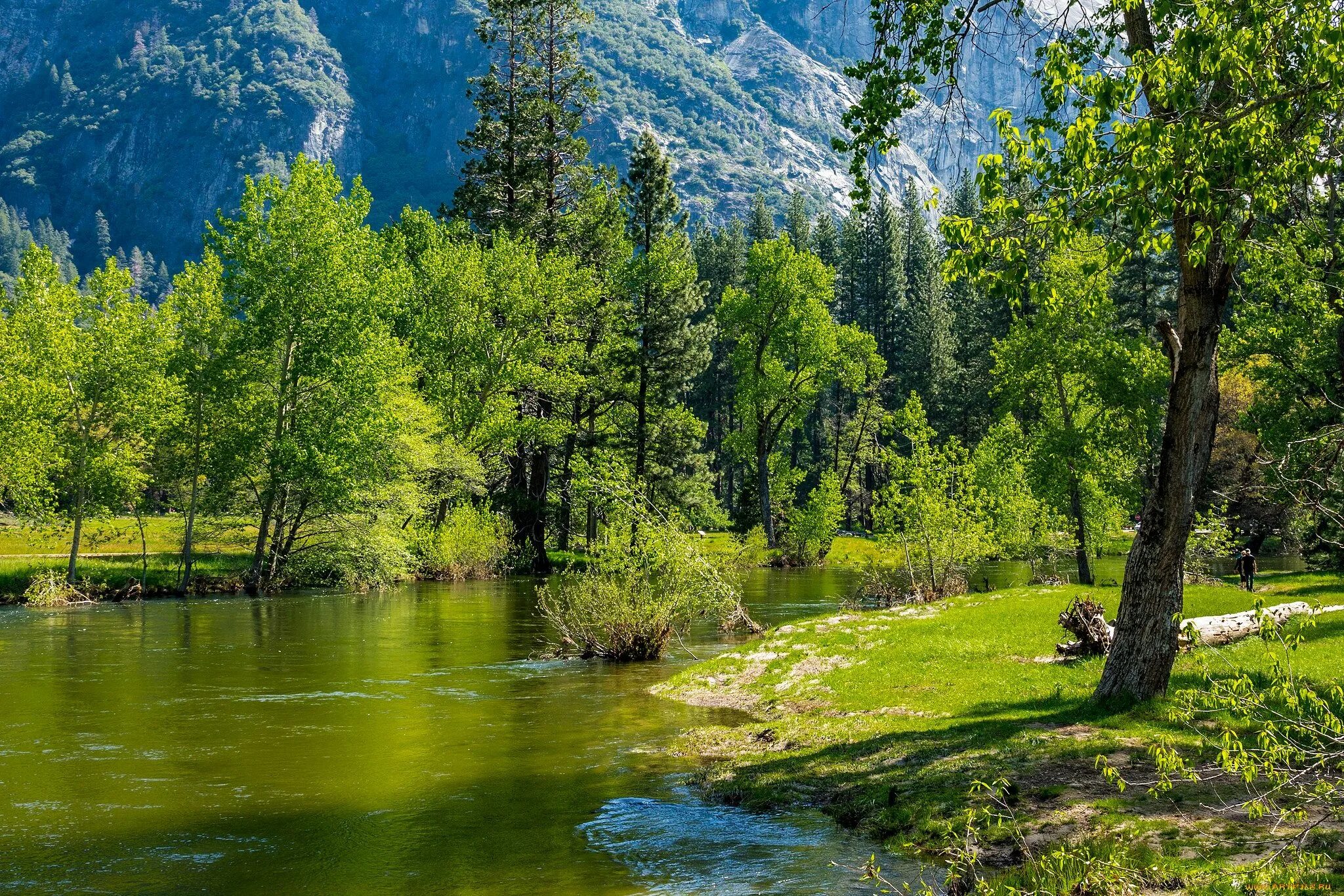 Природа на каком канале