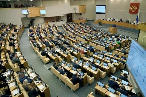 Дума вводит